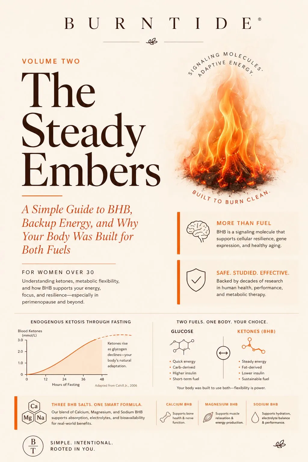The Steady Embers guide